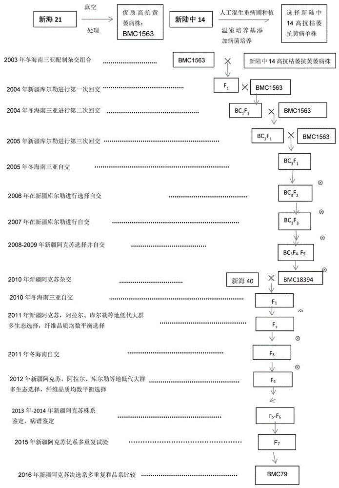 一種可紡精梳360支特細(xì)高檔紗線的特優(yōu)長絨棉品種及其選育方法