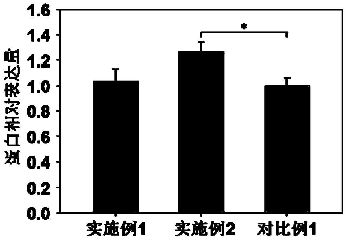 一種無血清無蛋白CHO細胞培養基及其制備方法、應用