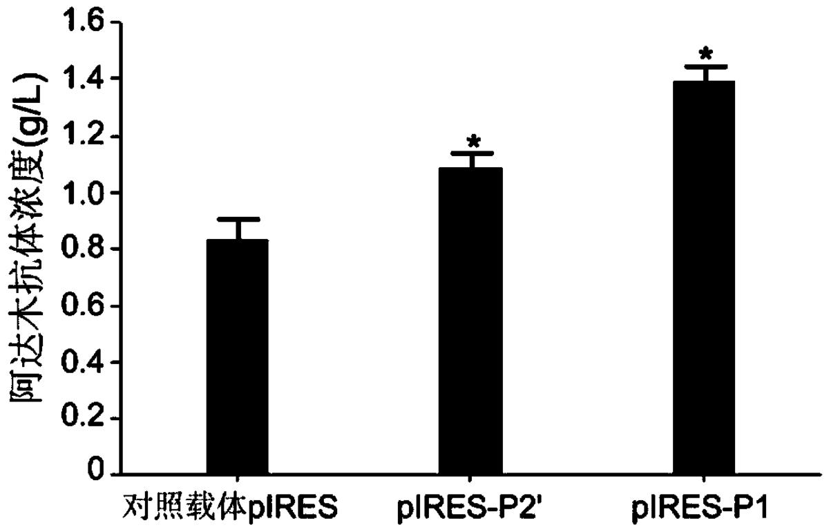 人工合成的內含子、哺乳動物細胞重組表達載體、哺乳動物宿主細胞、表達方法及其應用