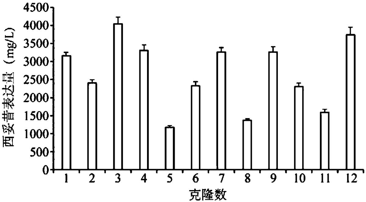 一種人工合成的MAR共有序列、表達載體、表達系統及其應用