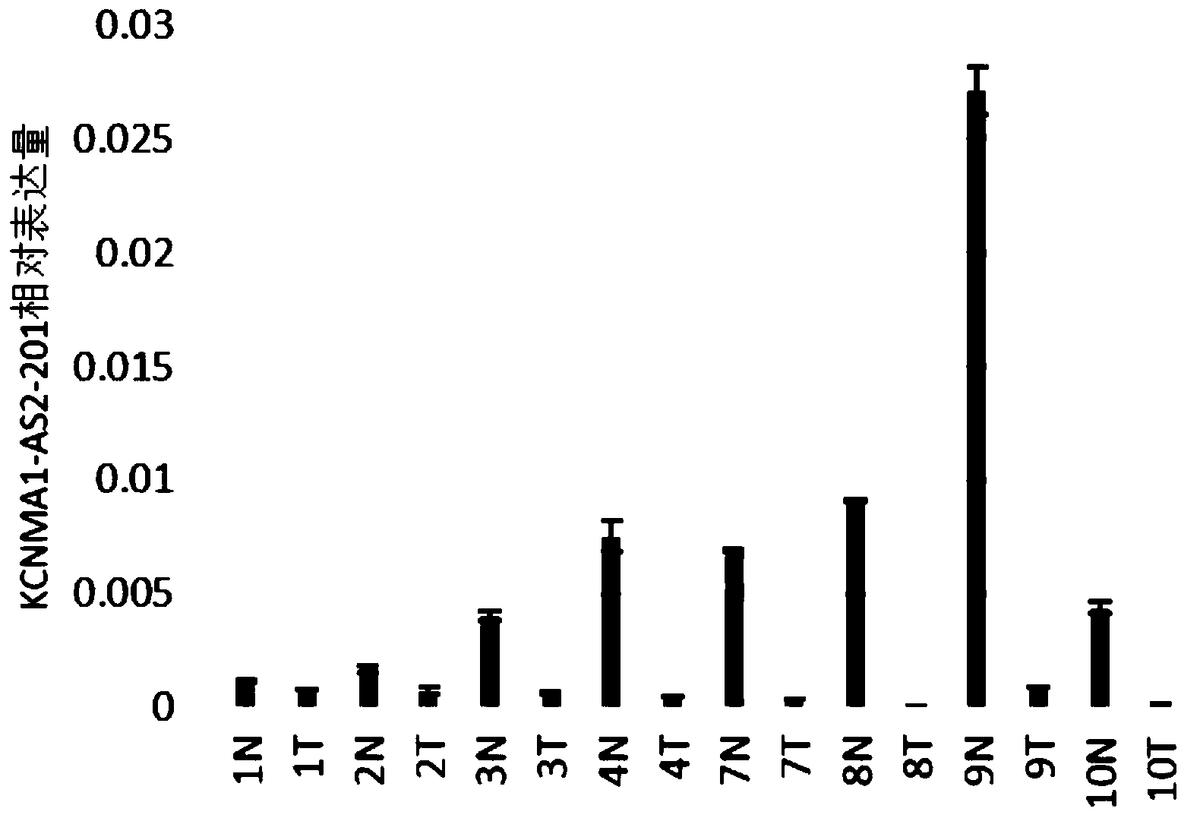 本發(fā)明涉及一種lncRNA標(biāo)志物在制備結(jié)直腸癌早期診斷產(chǎn)品中的應(yīng)用、檢測引物、試劑盒，屬于基因工程及腫瘤學(xué)領(lǐng)域。本發(fā)明的lncRNA標(biāo)志物在制備結(jié)直腸癌早期診斷產(chǎn)品中的應(yīng)用，所述lncRNA標(biāo)志物為KCNMA1?AS2?201，具有如SEQ ID NO.3所示的核苷酸序列。本發(fā)明的lncRNA標(biāo)志物在制備結(jié)直腸癌早期診斷產(chǎn)品中的應(yīng)用，利用該標(biāo)志物在結(jié)直腸癌組織中呈特異性低表達(dá)，而在正常組織中沒有這
