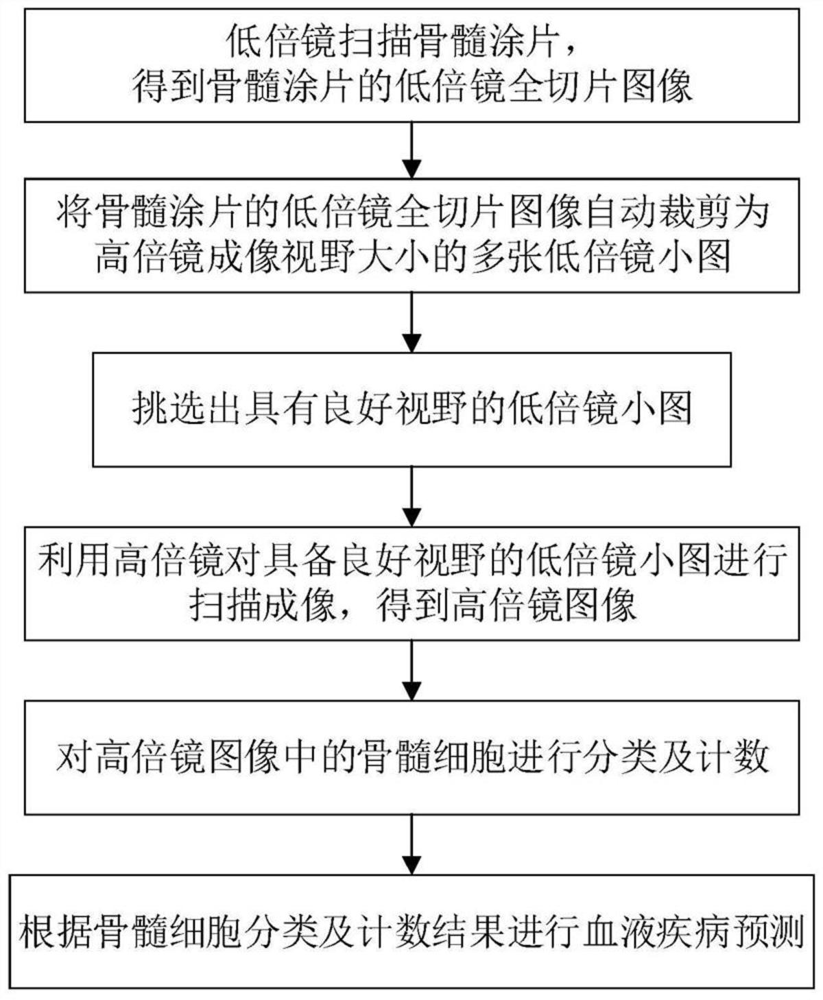 一種基于深度學(xué)習(xí)的骨髓細胞分類識別方法、裝置及系統(tǒng)