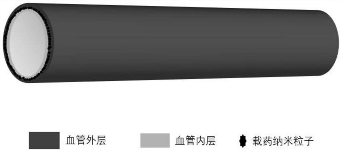 具有促內皮化及抗凝雙功能的人工血管及制備方法、用途